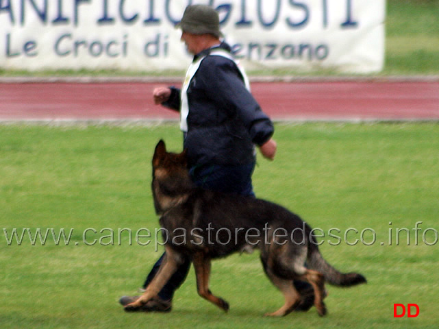 196.jpg - Adriano Azzolini con Rolf di Casa Derna B 90 punti (1 classificato IPO2)