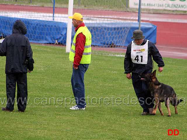 199.jpg - Adriano Azzolini con Rolf di Casa Derna B 90 punti (1 classificato IPO2)