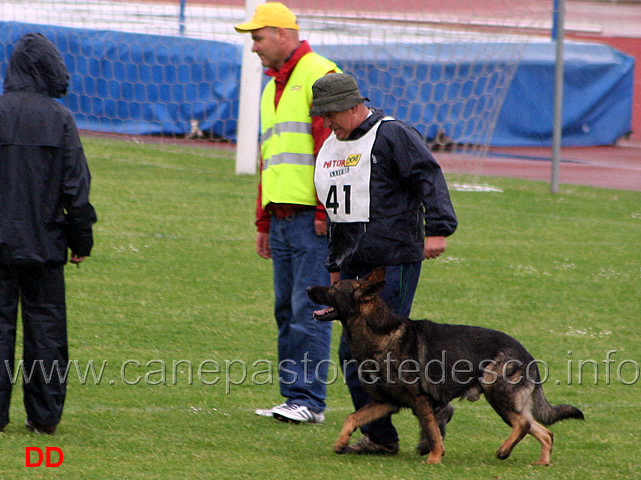 200.jpg - Adriano Azzolini con Rolf di Casa Derna B 90 punti (1 classificato IPO2)