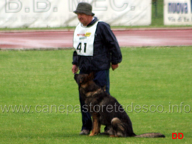 203.jpg - Adriano Azzolini con Rolf di Casa Derna B 90 punti (1 classificato IPO2)