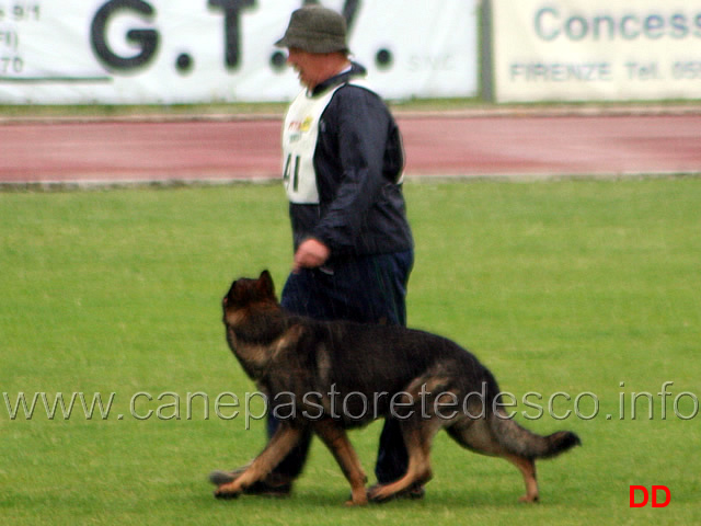 206.jpg - Adriano Azzolini con Rolf di Casa Derna B 90 punti (1 classificato IPO2)