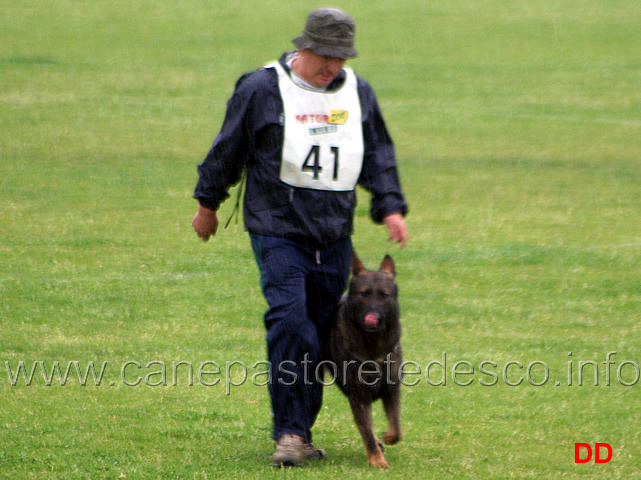 208.jpg - Adriano Azzolini con Rolf di Casa Derna B 90 punti (1 classificato IPO2)