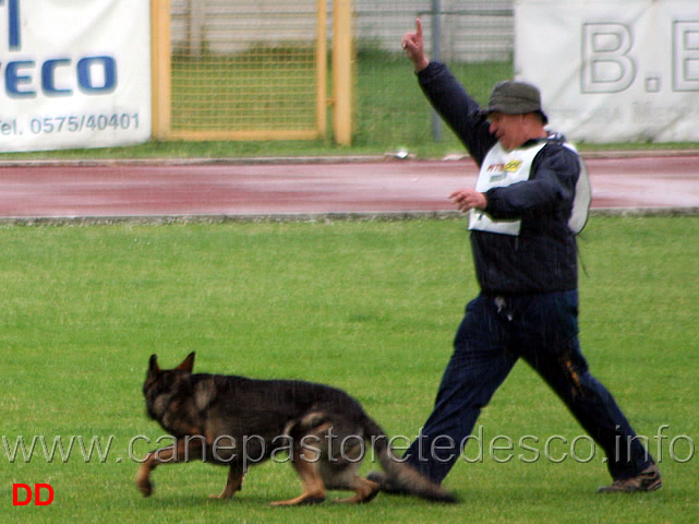 218.jpg - Adriano Azzolini con Rolf di Casa Derna B 90 punti (1 classificato IPO2)