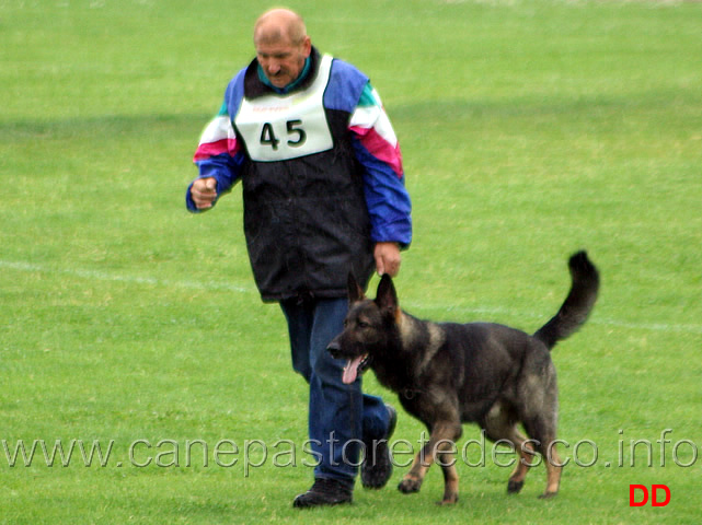 225.jpg - Alberto Leonardelli con Hex della Zattera IPO2 B punti 88