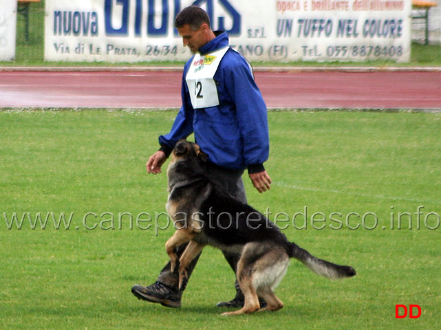 263.jpg - Silvio Fuoco con Marta B punti 87 (2 classificata in IPO2)