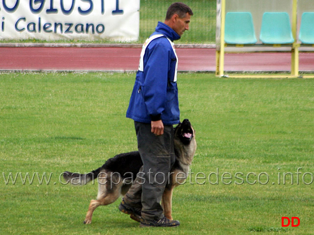 265.jpg - Silvio Fuoco con Marta B punti 87 (2 classificata in IPO2)