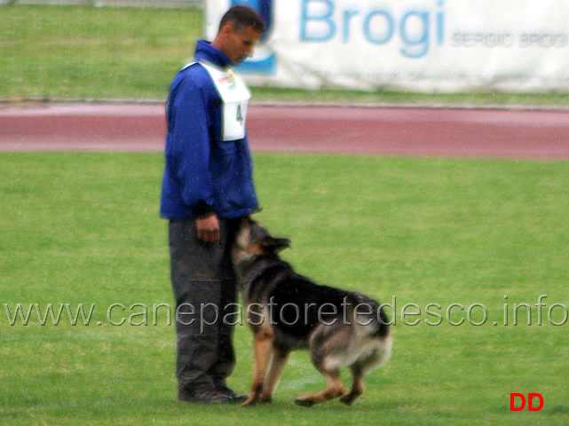 272.jpg - Silvio Fuoco con Marta B punti 87 (2 classificata in IPO2)