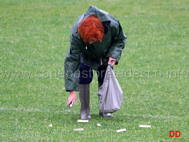 307.jpg - La dimostrazione di Obedience. Classe 3 .Discriminazione olfattiva e riporto