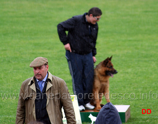 387.jpg - Giudizio morfologico. Podio dei maschi. 2 Omer detto Rocky