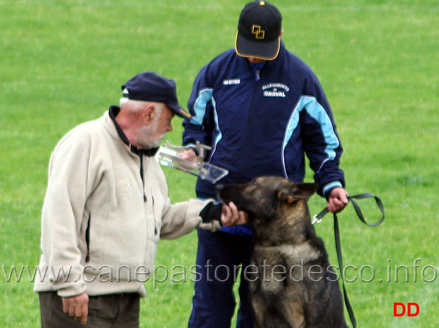 423.jpg - Il giudice Ezio Guerrino Roman  premia il  Miglior Attacco in IPO3: Ivan di Oroval condotto da Francesca Antonucci punti 97