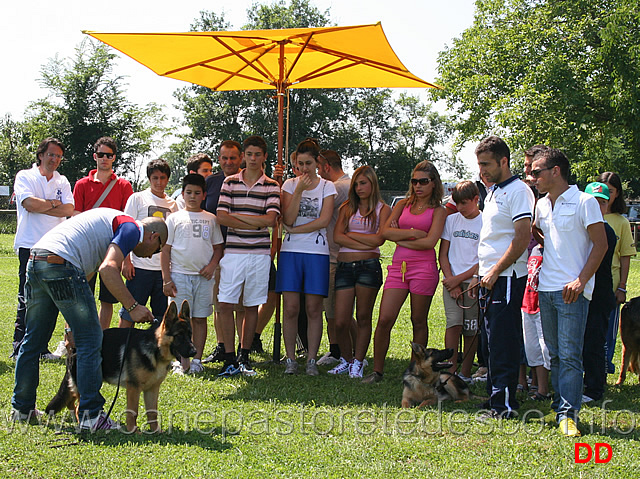 nello-sole-spiega-ai-ragazzi-come-piazzare-i-cani.jpg - Nello Sole spiega ai ragazzi come piazzare i cani