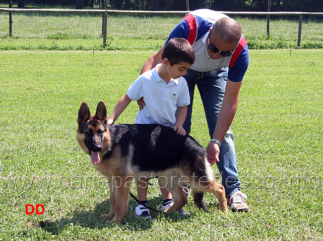 prova-pratica-ciascun-ragazzo-prova-a-piazzare-il-cane-13.jpg - Prova pratica: ciascun ragazzo prova a piazzare il cane