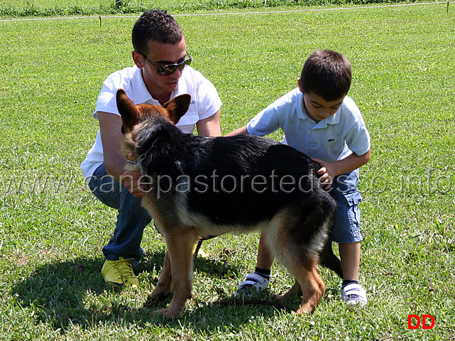 prova-pratica-ciascun-ragazzo-prova-a-piazzare-il-cane-15.jpg - Prova pratica: ciascun ragazzo prova a piazzare il cane