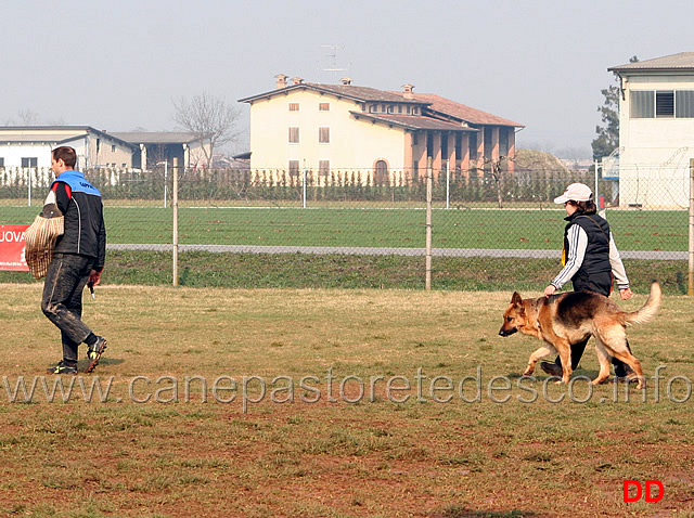 031.jpg - Anna Zampieri con Bloom (IPO2 fase C: 77 punti) 2 classificata (tot. 245 B)