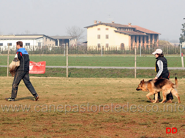 032.jpg - Anna Zampieri con Bloom (IPO2 fase C: 77 punti) 2 classificata (tot. 245 B)