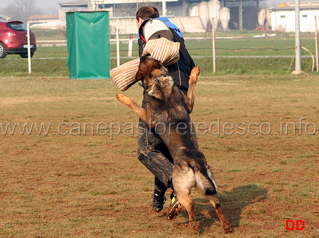 054.jpg - Major v.d.Friesenklippe IPO2 fase C: 90 punti conduttore Florian Steinacher 1 classificato (tot.274 MB)