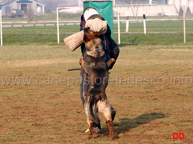 055.jpg - Major v.d.Friesenklippe IPO2 fase C: 90 punti conduttore Florian Steinacher 1 classificato (tot.274 MB)