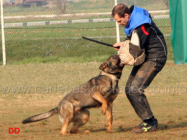 060.jpg - Major v.d.Friesenklippe IPO2 fase C: 90 punti conduttore Florian Steinacher 1 classificato (tot.274 MB)