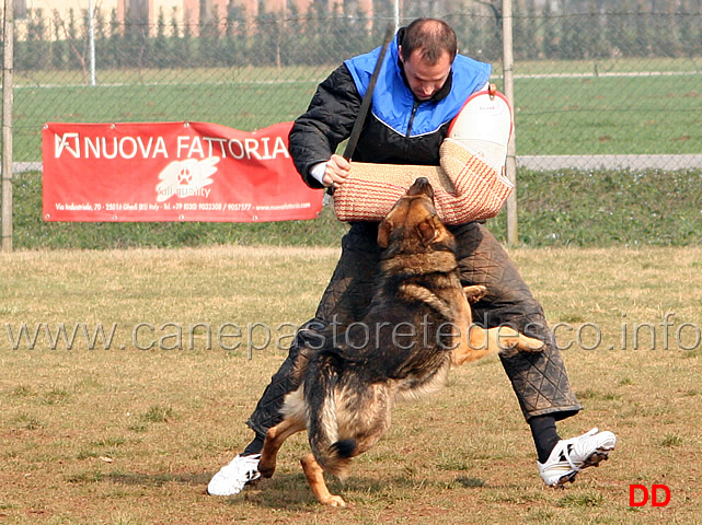 109.jpg - IPO3 Bonny conduttore Enzo Mascoli fase C NQ