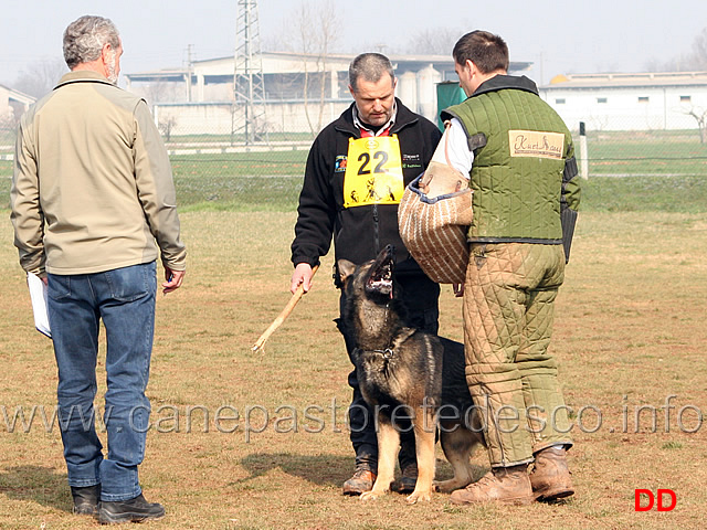 123.jpg - IPO3 Jango v. Helo conduttore Florian Stampfer fase C punti 95 1 classificato IPO3 Campione Regionale