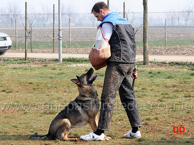 144.jpg - IPO3 Hex v.d.Donauvorstadt conduttrice Barbara Khuen fase C 91 punti 3 classificata