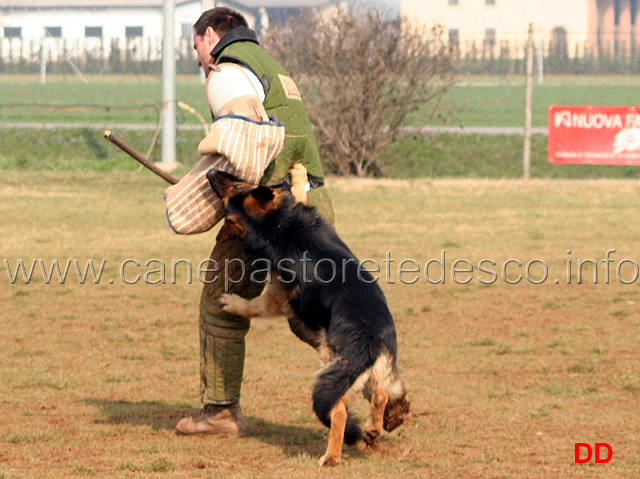 148.jpg - IPO3 Vasco v. Lastal conduttore Werner Runggaldier fase C SQ (A 96, B 90)