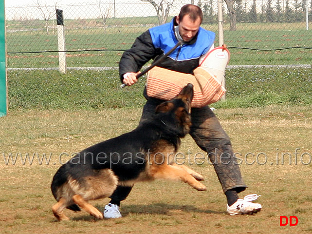 158.jpg - IPO3 Vasco v. Lastal conduttore Werner Runggaldier fase C SQ (A 96, B 90)