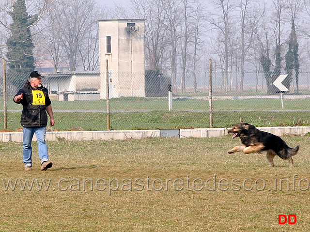 168.jpg - IPO3 Beautyfullgrey conduttore Luciano Amistani fase C punti 84 (tot.250 punti)