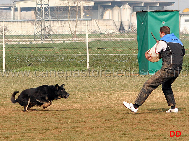 194.jpg - IPO3 Qliff v.Grenzganger conduttore Gianpaolo Berardi fase C 80 punti