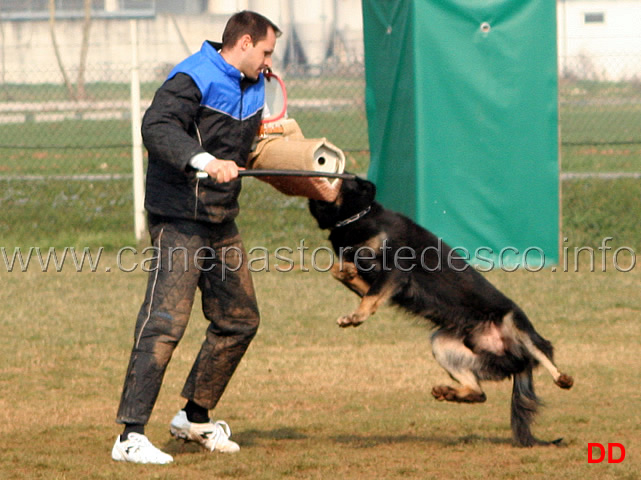 195.jpg - IPO3 Qliff v.Grenzganger conduttore Gianpaolo Berardi fase C 80 punti