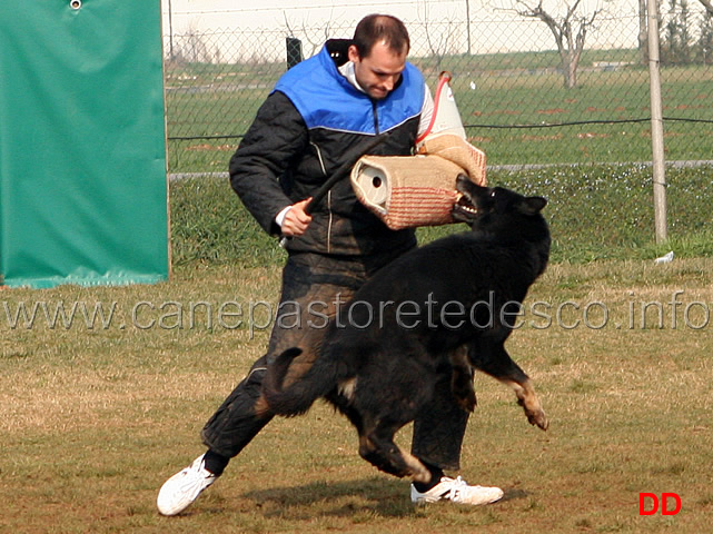 196.jpg - IPO3 Qliff v.Grenzganger conduttore Gianpaolo Berardi fase C 80 punti