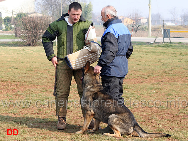 203.jpg - IPO3 Eliot conduttore Franco Zappi fase C 74 punti (tot. 259)