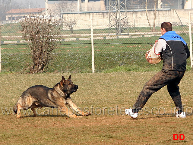 206.jpg - IPO3 Eliot conduttore Franco Zappi fase C 74 punti (tot. 259)