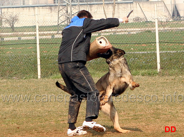 207.jpg - IPO3 Eliot conduttore Franco Zappi fase C 74 punti (tot. 259)