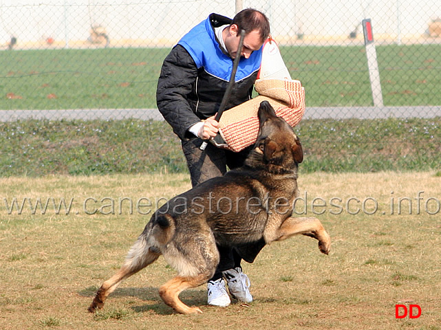 211.jpg - IPO3 Eliot conduttore Franco Zappi fase C 74 punti (tot. 259)