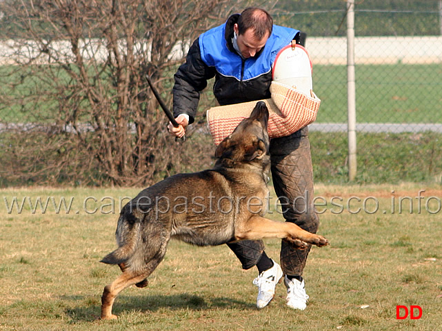 212.jpg - IPO3 Eliot conduttore Franco Zappi fase C 74 punti (tot. 259)