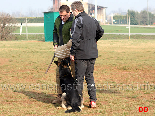 220.jpg - IPO3 Zorro v.Körbeltal conduttore Florian Gaiser fase C 91 punti (tot.267)