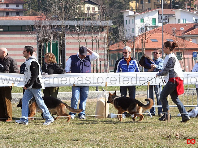 014.jpg - Juniores femmine. La gara. Aika di Casa Max e Agata