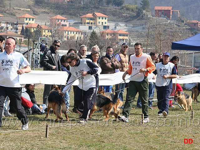 042.jpg - Giovanissime femmine. Helly di Castel Cerreto, Carlotta di Casa Beggiato, Affi Nemini Secundus