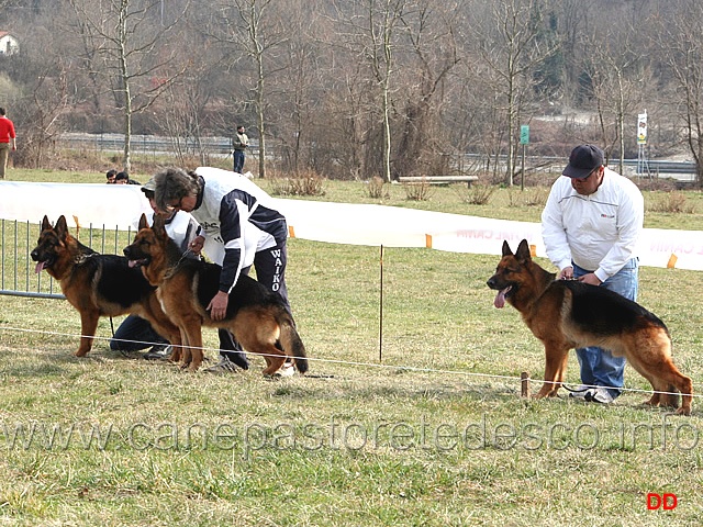 097.jpg - Trofeo Memorial Marino: Lesko Valentinientis, Genny Valentinientis e Vasco di Casa El-Ma