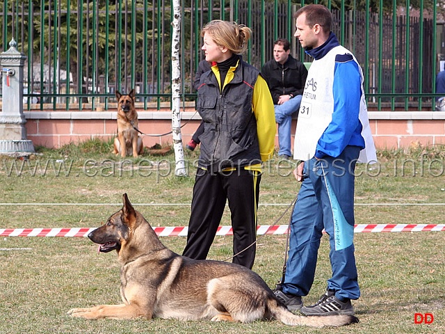 103.jpg - In attesa per la presentazione da fermo. Dhelby nella perfetta interpretazione della Sfinge