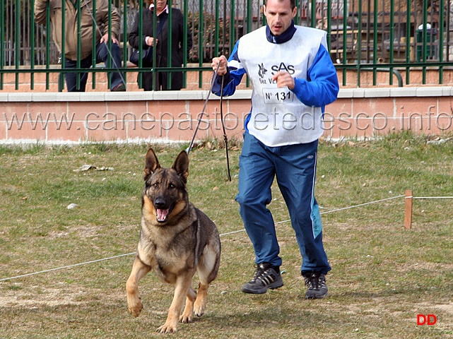 107.jpg - Dhelby (Uber della Zattera): " e questo cos'è? devo correre in tondo??????