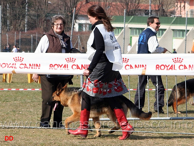 117.jpg - Il più strano abbigliamento mai visto per presentare un cane ad un raduno SAS