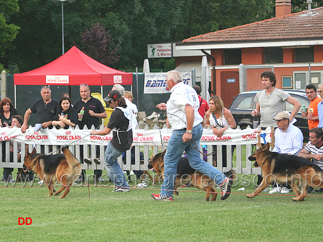 097.jpg - Classe Lavoro maschi: il conduttore di Ferro frena il cane che ha sorpassato senza ordine del giudice