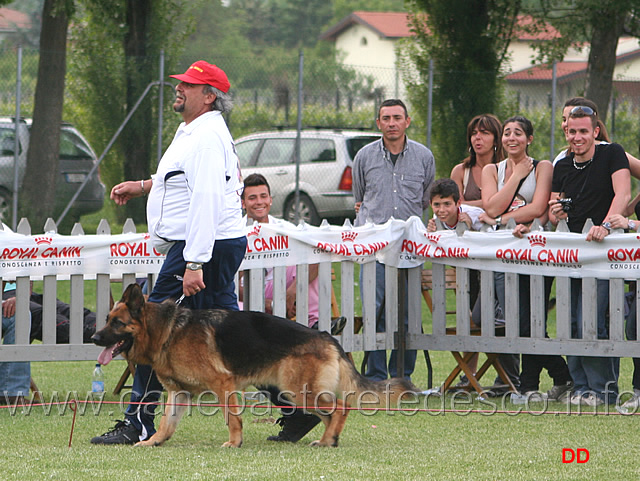 123.jpg - Classe Lavoro maschi: Urk della Valle del Liri