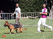 gianluca-petriccione-campionato-giovani-2009-02