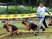 gianluca-petriccione-campionato-giovani-2010