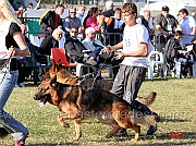 giuseppe-mammazza-campionato-2008