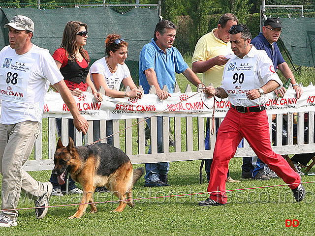 011.jpg - Classe giovani femmine Xilit di Turboland