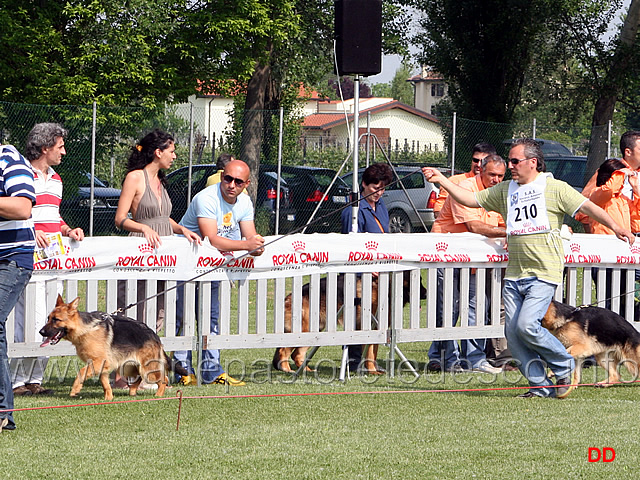 014.jpg - Classe Juniores femmine Vanda degli Achei